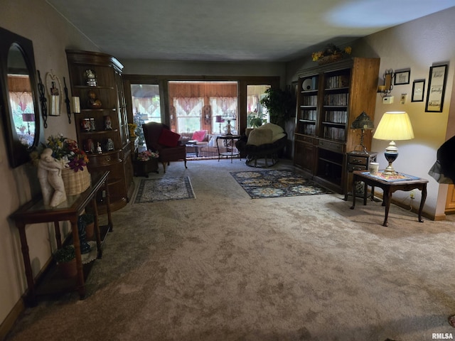 16324 E Cherokee Rd, Cuba, IL 61427 - view of carpeted living area