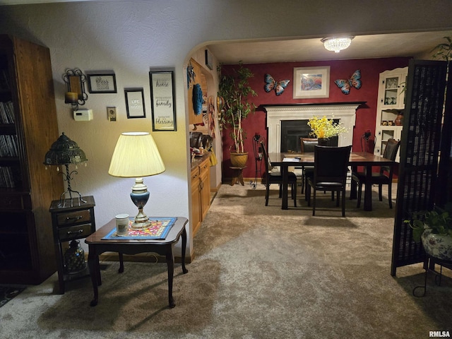 16324 E Cherokee Rd, Cuba, IL 61427 - living area featuring carpet floors