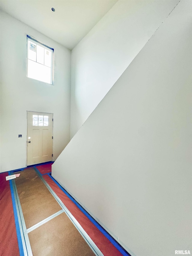 4014 W Fiona Way, Dunlap, IL 61525 - carpeted entrance foyer with a towering ceiling