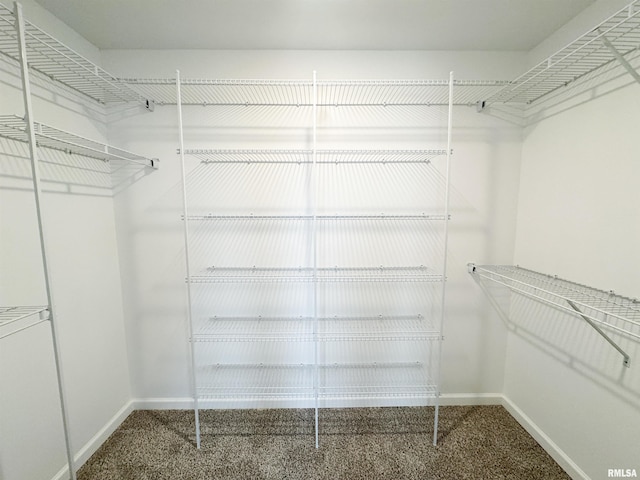 4014 W Fiona Way, Dunlap, IL 61525 - spacious closet featuring carpet floors