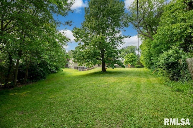 5232 N Merrimac Ave, Peoria, IL 61614 - view of grassy yard