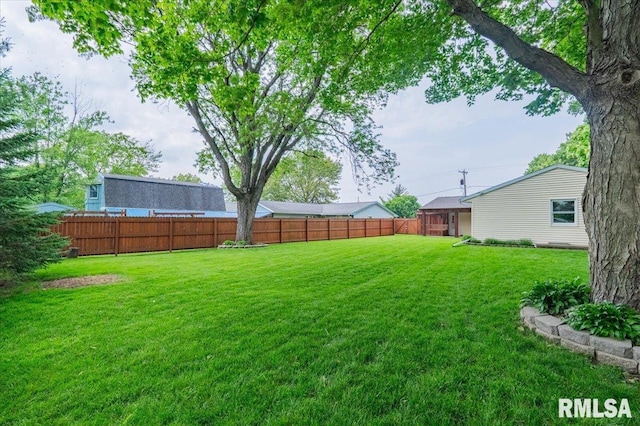 303 W 3rd Ave, Deer Creek, IL 61733 - view of yard