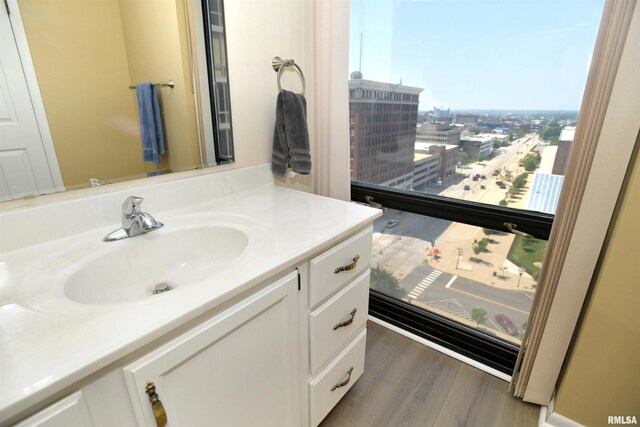 123 SW Jefferson Ave Unit E14A, Peoria, IL 61602 - bathroom featuring vanity and wood finished floors