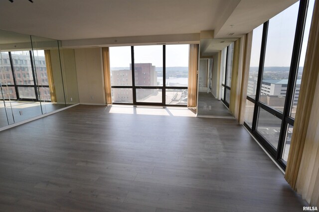 123 SW Jefferson Ave Unit E14A, Peoria, IL 61602 - empty room with floor to ceiling windows, healthy amount of natural light, wood finished floors, and a city view