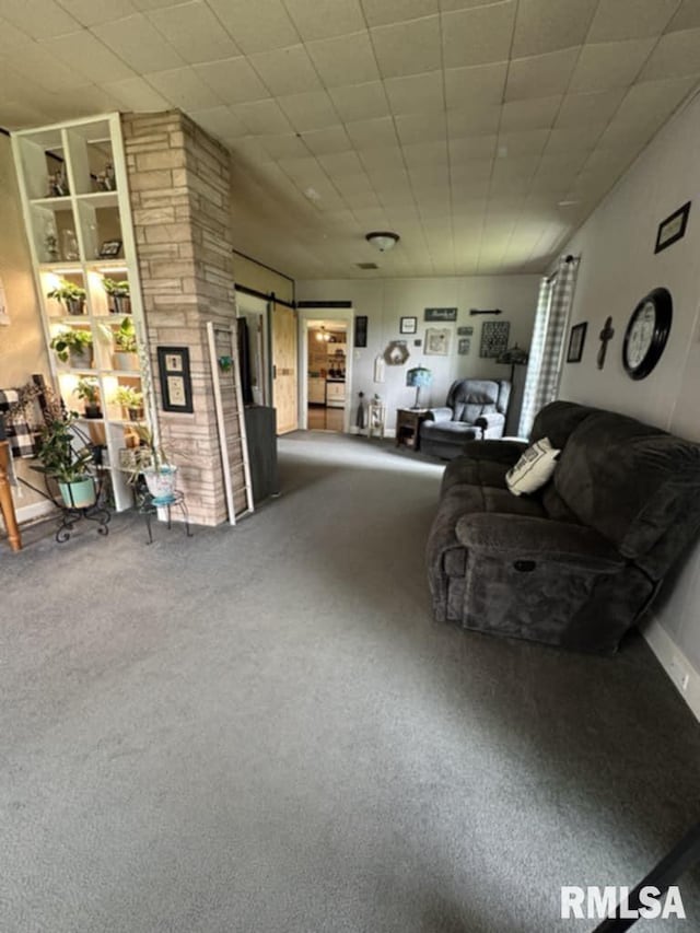 9955 E 750th St, Colchester, IL 62326 - living room with carpet and a barn door