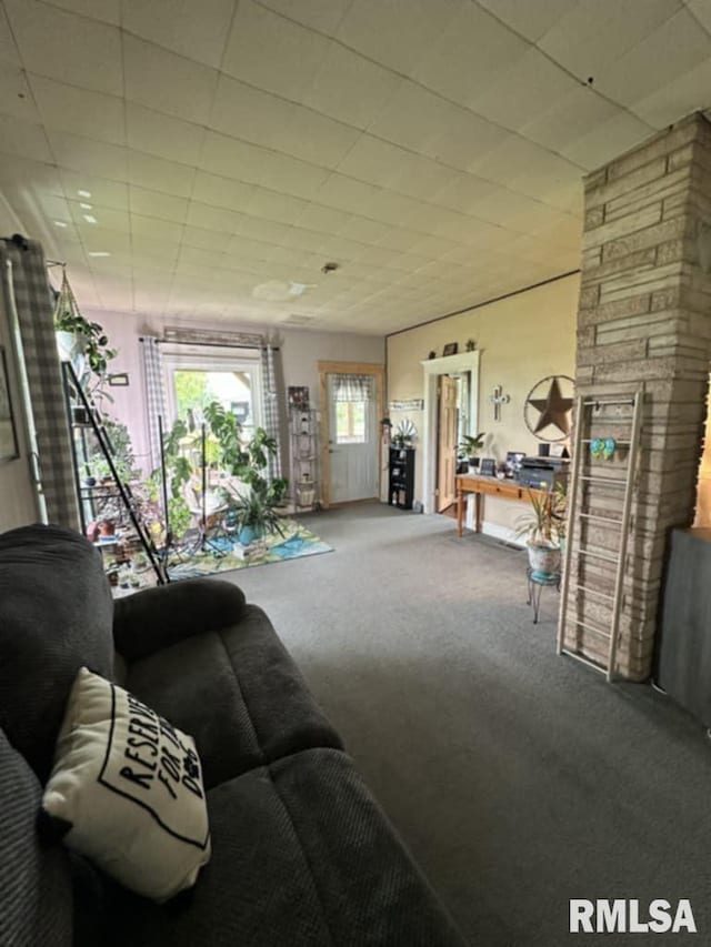 9955 E 750th St, Colchester, IL 62326 - living room featuring carpet floors