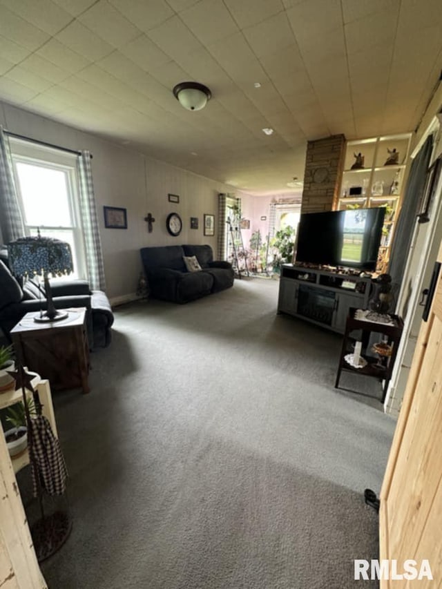 9955 E 750th St, Colchester, IL 62326 - living area featuring carpet flooring