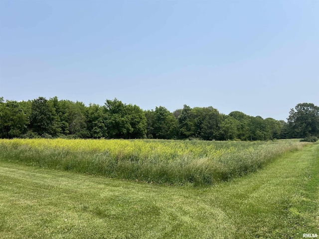 9955 E 750th St, Colchester, IL 62326 - view of wooded area featuring a view of rural / pastoral area