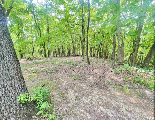 283 Old Germantown Rd, East Peoria, IL 61611 - view of wooded area