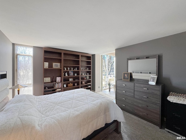 4444 N Knoxville Ave Unit 301, Peoria, IL 61614 - carpeted bedroom with multiple windows and expansive windows