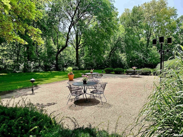 4444 N Knoxville Ave Unit 301, Peoria, IL 61614 - surrounding community with a patio, a yard, and outdoor dining area