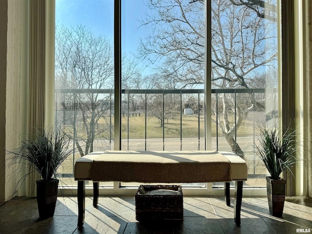 4444 N Knoxville Ave Unit 301, Peoria, IL 61614 - balcony featuring a water view