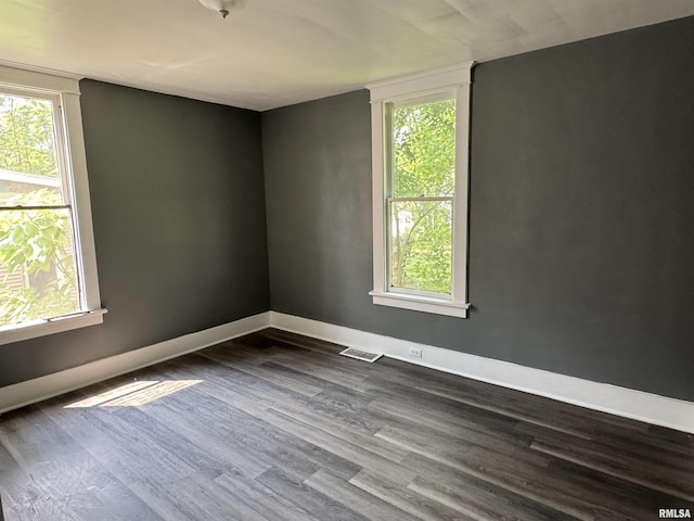 305 E Republic St, Peoria, IL 61603 - empty room with dark wood finished floors and plenty of natural light