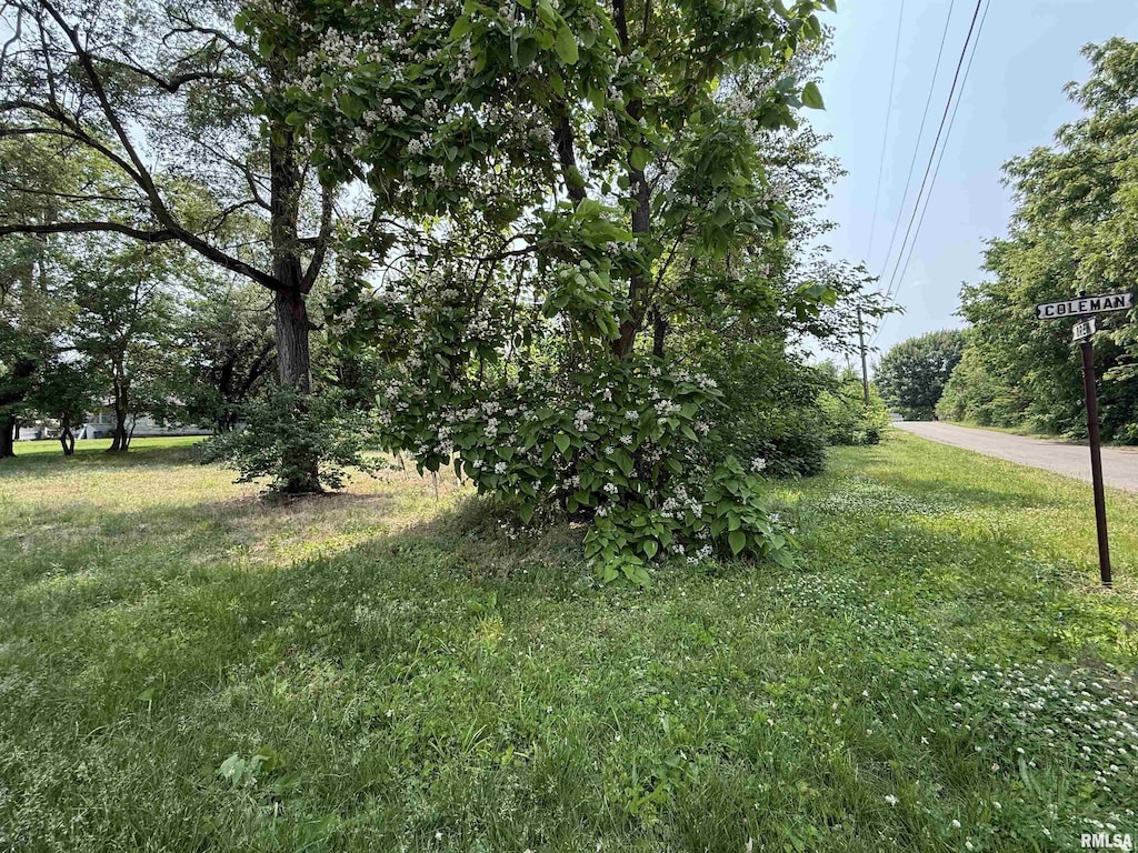 702 S Coleman St, Havana, IL 62644