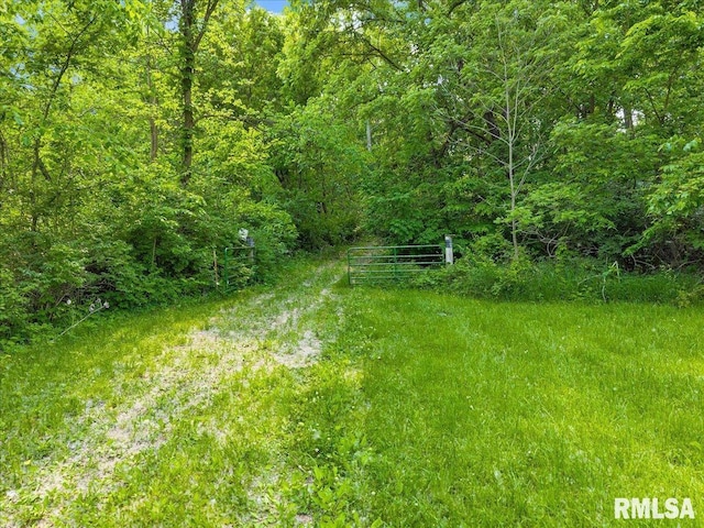 Fantasy Ln, Chillicothe, IL 61523