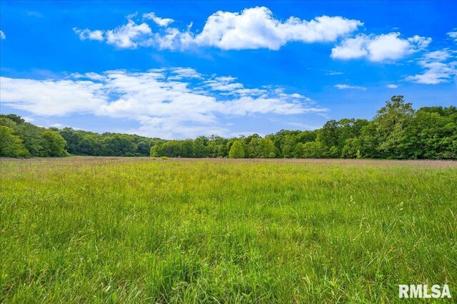 Fantasy Ln, Chillicothe, IL 61523