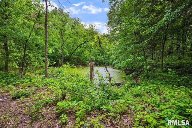 Fantasy Ln, Chillicothe, IL 61523