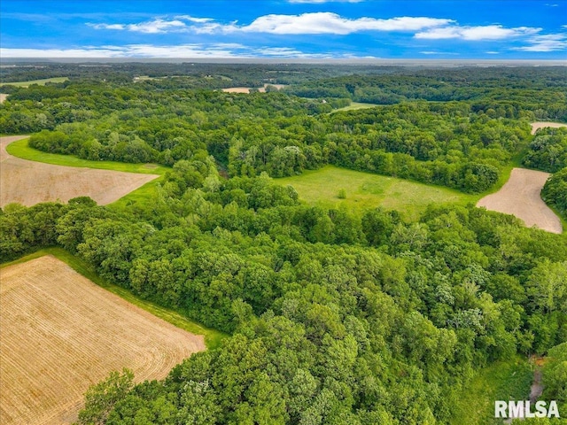 Fantasy Ln, Chillicothe, IL 61523
