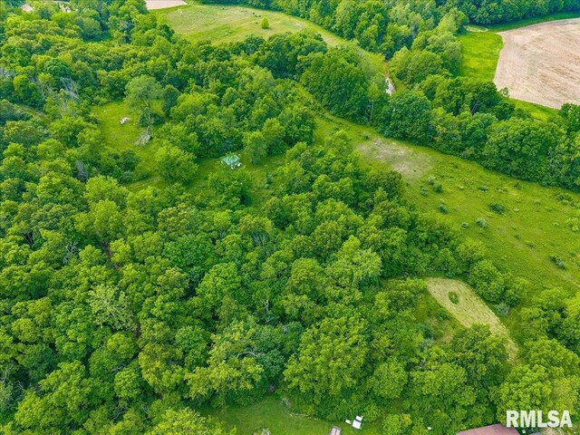 Fantasy Ln, Chillicothe, IL 61523
