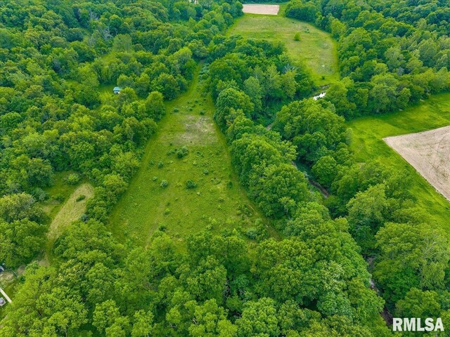 Fantasy Ln, Chillicothe, IL 61523