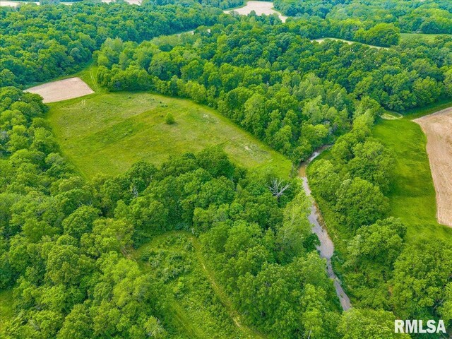 Fantasy Ln, Chillicothe, IL 61523