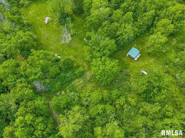 Fantasy Ln, Chillicothe, IL 61523