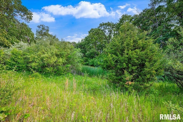 Fantasy Ln, Chillicothe, IL 61523