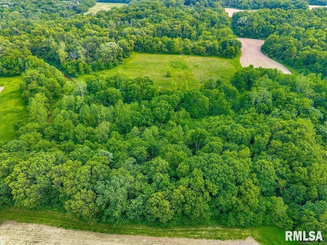 Fantasy Ln, Chillicothe, IL 61523