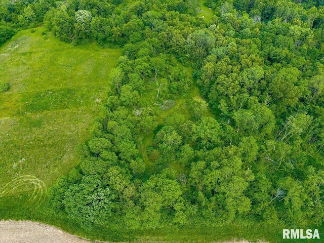 Fantasy Ln, Chillicothe, IL 61523