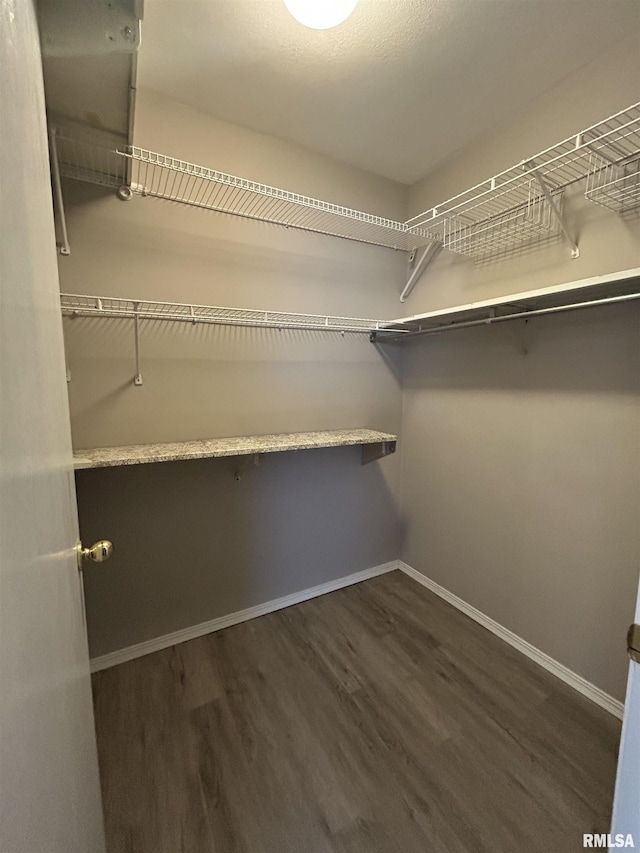 6831 N Frostwood Pkwy Unit D29, Peoria, IL 61615 - walk in closet featuring wood finished floors
