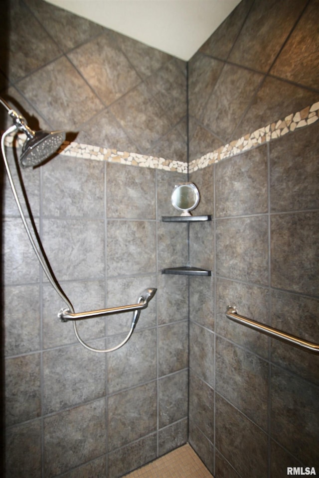 1964 Chestnut Ln, Washington, IL 61571 - bathroom featuring a tile shower