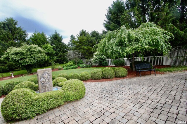 1964 Chestnut Ln, Washington, IL 61571 - view of property's community featuring a patio area and view of wooded area