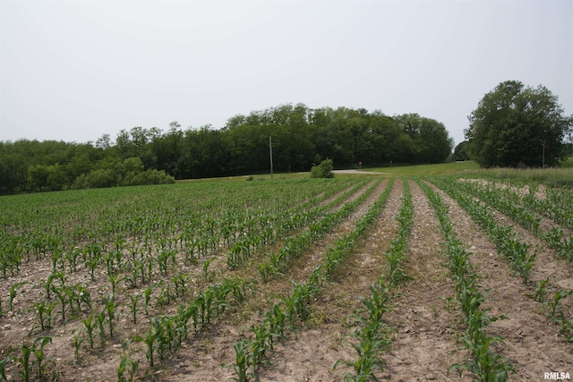 15624 N Mendenhall Rd, Princeville, IL 61559
