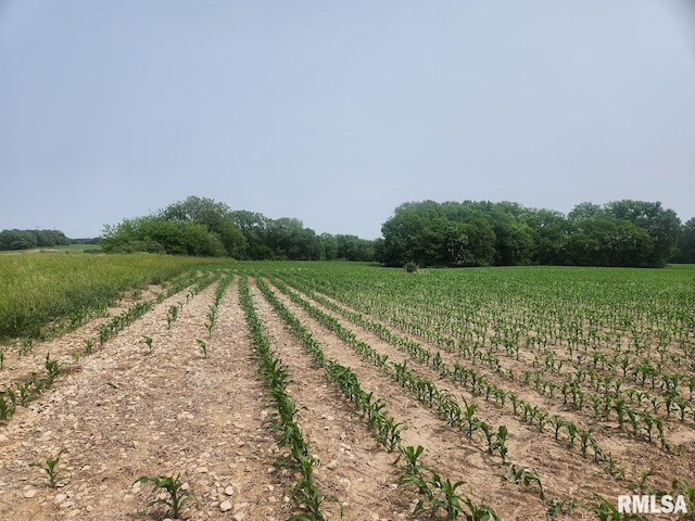 15624 N Mendenhall Rd, Princeville, IL 61559