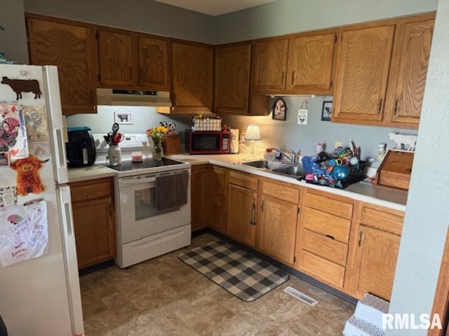 102 Main St, Camp Grove, IL 61424 - kitchen with white appliances, under cabinet range hood, a sink, light countertops, and brown cabinetry