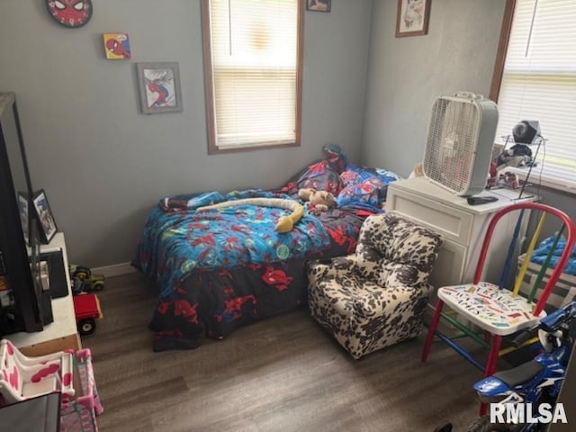 102 Main St, Camp Grove, IL 61424 - bedroom featuring wood finished floors