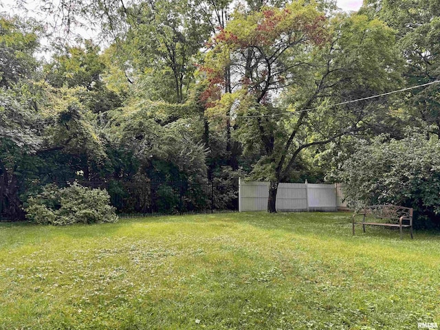 360 N Normal St, Macomb, IL 61455 - view of yard