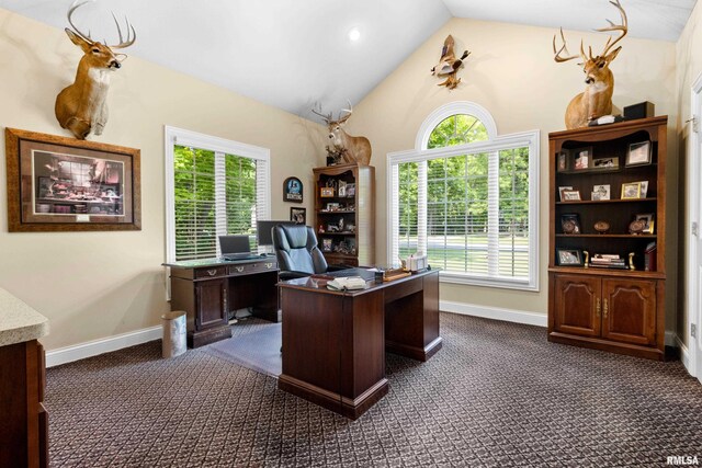 11518 N Nettle Creek Dr, Dunlap, IL 61525 - office area with dark colored carpet and vaulted ceiling