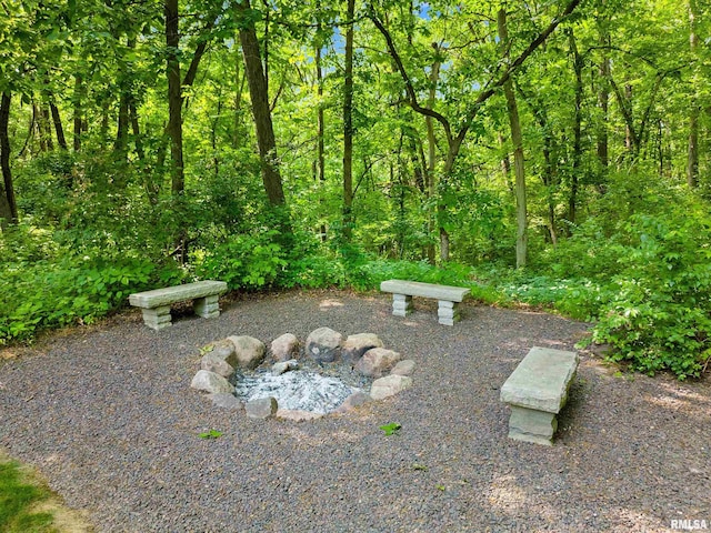 11518 N Nettle Creek Dr, Dunlap, IL 61525 - view of yard