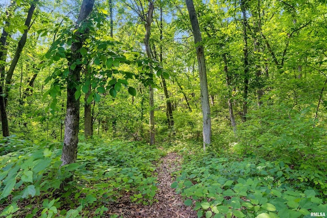 11518 N Nettle Creek Dr, Dunlap, IL 61525 - view of tree filled area