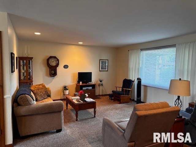 11 Lincoln Rd, Canton, IL 61520 - photo 10
