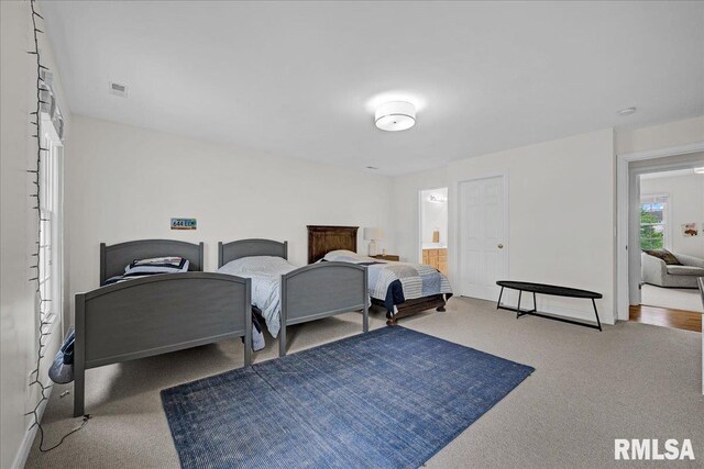 4904 N Deermeadow Dr, Peoria, IL 61615 - photo 35