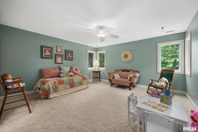300 Wolf Crossing Dr, Morton, IL 61550 - photo 46