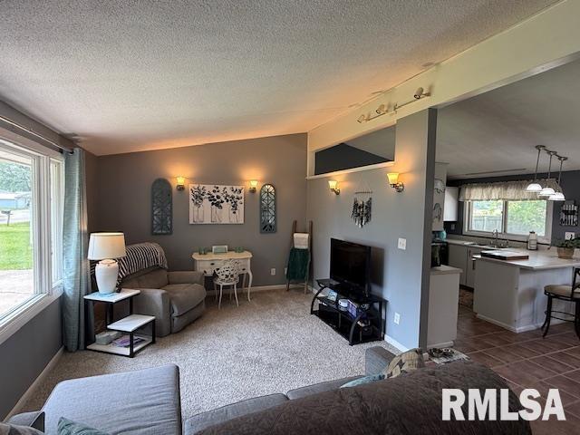 603 Sherry St, Colchester, IL 62326 - living room with a textured ceiling and baseboards