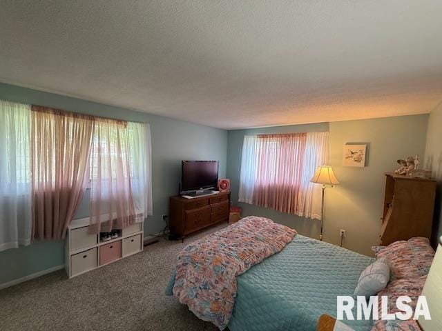 603 Sherry St, Colchester, IL 62326 - bedroom featuring carpet flooring and a textured ceiling