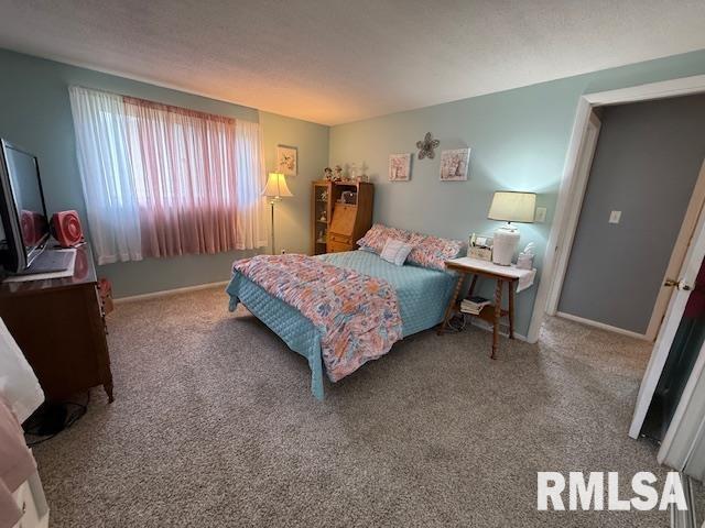 603 Sherry St, Colchester, IL 62326 - view of carpeted bedroom