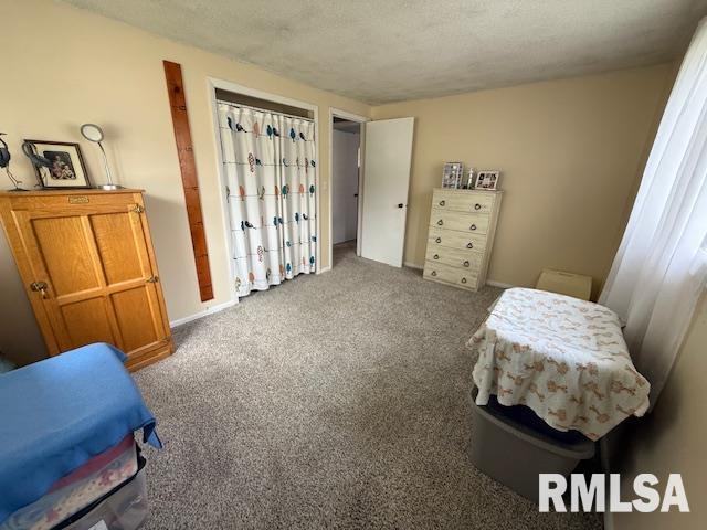 603 Sherry St, Colchester, IL 62326 - bedroom with carpet and a textured ceiling
