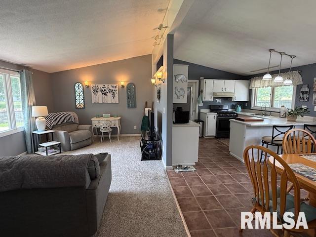 603 Sherry St, Colchester, IL 62326 - living area featuring vaulted ceiling, healthy amount of natural light, and dark tile patterned floors