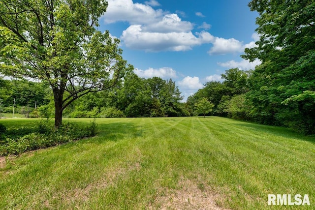 1112 W Cedar Hills Dr, Dunlap, IL 61525 - view of green lawn