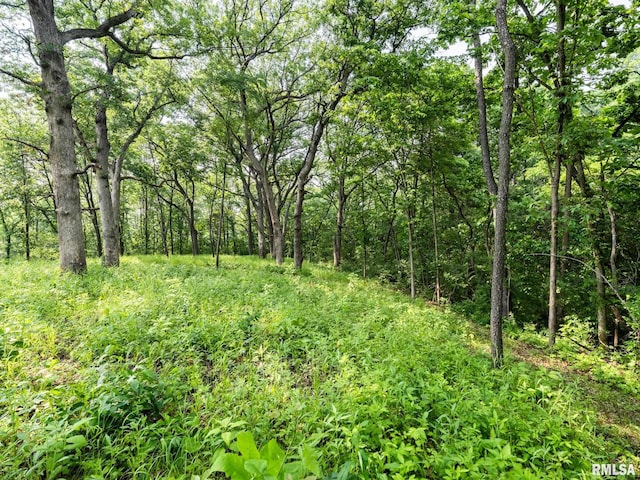 3041 Zion Oaks Rd, Pekin, IL 61554